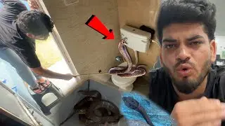 3 Zehrile Snake 🐍 pakad liye 😱