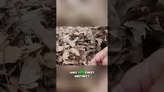 Daily Garden Checks: The BIGGEST Lesson from a Dead Plant!