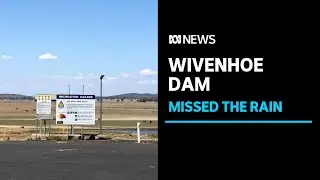 Inflows into regional Queensland dams after record November rain, but Wivenhoe misses out | ABC News