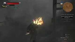 The Witcher 3 Fighting Kikimore