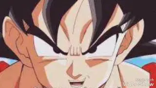 DBS 95