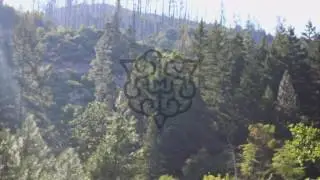 MRGN - LIMBIC