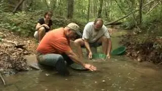 Buscadores de oro en Virginia