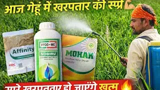 कनक में खरपतवार खत्म करने की सही स्प्रे | आज का पूरा काम 🚜🌱