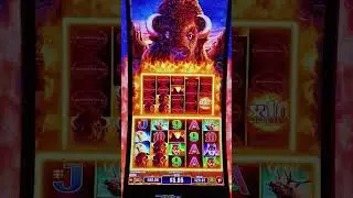 Tore up on Buffalo Power Play! #slot #gamblinggame #casino #slotmachine