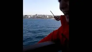 Kız kulesi vapur ve martılar.