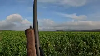 Mise en go&ucirc;t de la saison 2025/2026 / Chasse grand gibier en battue