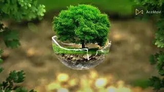 15-minutes Free Brainwave Meditation Sleep music to calm the mind stop native thinking.