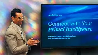 Behind the Scenes of Primal Reset: Seven Paradigms, Real Feedback, Next Steps