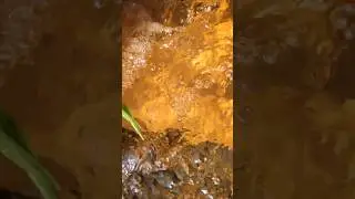 Pure water #viral #allah #god #islam #song #shorts #short #video