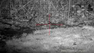 RAT PEST CONTROL - WATCH THEM FALL. HEAD SHOT COMPILATION 