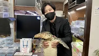 アジト的な隠れ爬虫類ショップに行ってきました。