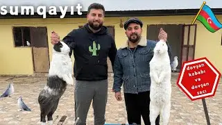 İlk Dəfə Doşan Bişirdik &ndash; Nəticə Hamını Şaşırtdı🐇🕊️