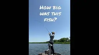 Hook sets are free 🤷&zwj;♂️ #shorts #fishing
