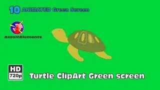 Turtle Clip Art Green Screen Animated | Chroma Key