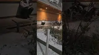 snow in netherlands nieve en paises bajos 4-1-2026 alblasserdam