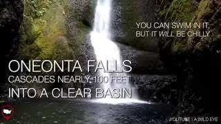 The Oneonta Gorge Hike Ends In An Unforgettable Way