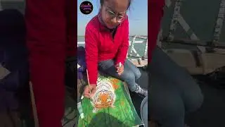 tiger painting at Sundarban 😀      #shorts #youtubeshorts #art