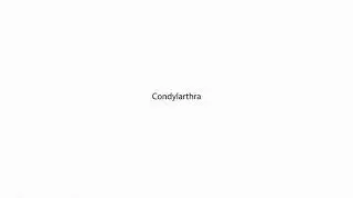 Condylarthra PRONUNCIATION