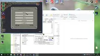 Install Ultima Online Oskom Free | Old Oskom UO Shard