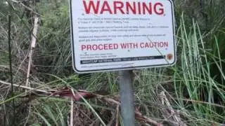 MINYON FALLS TREK