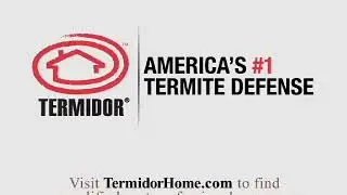 Every Minute - Temidor&reg; Termiticide