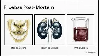40. Toxicidad ambiental