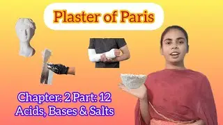 L : 2 Part :12 Plaster of Paris | Science for Class 10th (2023-24) | Board exam preparation