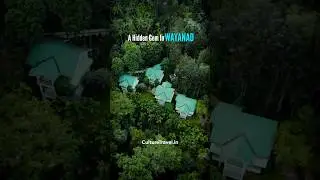 Best Forest Resorts in Wayanad | Forest Stay in Wayanad | Weekend Getaways Near Bengaluru