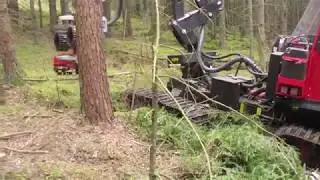 Terri 34c Harvester