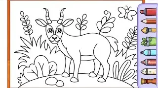 learn coloring mountain goat