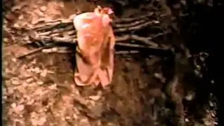 Nick@Nite The Facts of Life Promo - The Blair Tootie Project