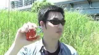 カチドキと極ロックシード、他で遊んでみた