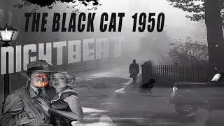 Nightbeat The Black Cat 1950