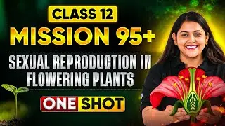 Class 12 Biology🌸Sexual Reproduction in Flowering Plants One Shot |  Shipra Tiwari Mission 95+ #cuet