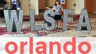My Experience - WLSFA 2019