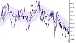 WPR Chart Forex MT5 Indicator