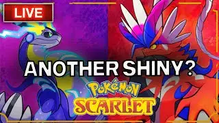 POKEMON SCARLET | SHINY NUMBER 2... MAYBE ?? |GAMEPLAY LIVE🔴