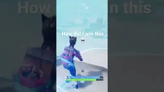 Fortnite Solo Win from Chapter 1 Season 7