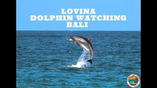 Lovina Dolphin watching Bali | North Bali Things to Do