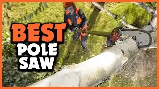 ✅5 Best Pole Saw You Can Buy In 2025