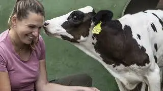 Wie Anja Hodel als B&auml;uerin den Betrieb leitet