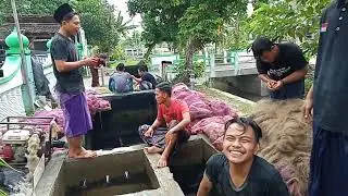 Air Sungai Jadi Jernih 