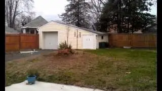 8 Month Rhodesian Ridgeback Puppy running like a crazy kid