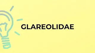 What is the meaning of the word GLAREOLIDAE?