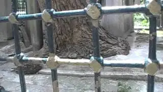Turska 9