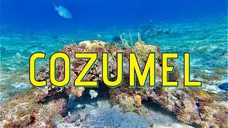 COZUMEL | HD Relaxing Video | Calming Music
