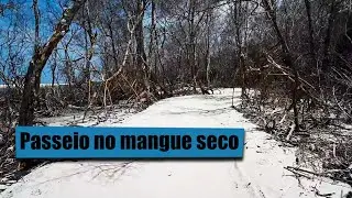 ROLE DE MOTO COM A GALERA PELA PRAIA DO MANGUE SECO NO LITORAL CEARENSE.