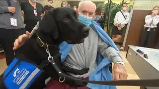 Veterans get puppy love from service dogs at Tampa veterans hospital