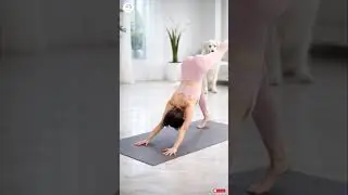Lift One Leg, Reset Your Energy ✨🧘🏻&zwj;♀️ #yoga #shorts #PureStretchStories